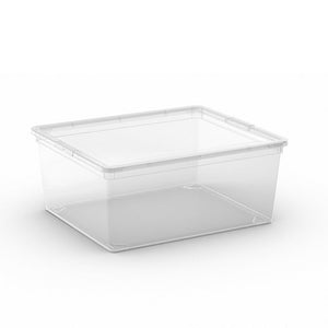C Box M w/ Lid Transparent