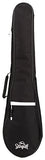 M4 Merlin Mahogany EQ Acoustic-Electric Dulcimer with Seagull Gig Bag and Extra Set of Strings (042517)