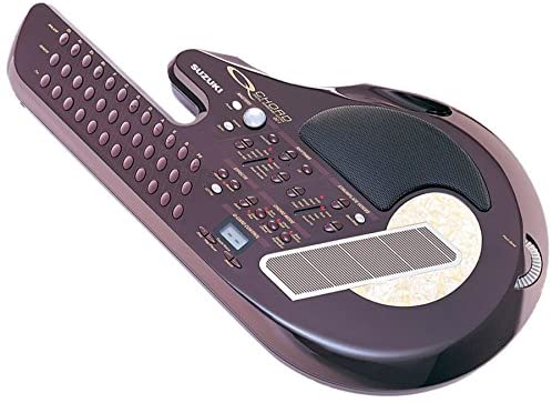 Q-Chord with Case & A.C. Adaptor