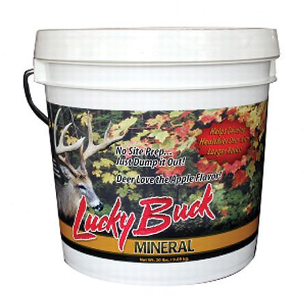 Lucky Buck Mineral