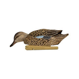 Avian-X Topflight Blue-Winged Teal Series Decoys, 6-Pack