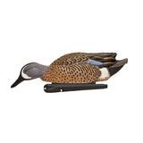 Avian-X Topflight Blue-Winged Teal Series Decoys, 6-Pack