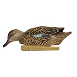 Avian-X Topflight Blue-Winged Teal Series Decoys, 6-Pack