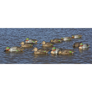 Avian-X Topflight Green-Winged Teal Series Decoys, 6-Pack