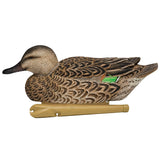 Avian-X Topflight Green-Winged Teal Series Decoys, 6-Pack