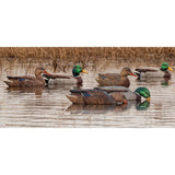 Avian-X Topflight Gadwall Decoys, 6-Pack