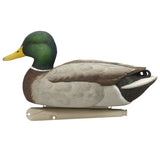 Avian-X Topflight Gadwall Decoys, 6-Pack