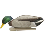 Avian-X Topflight Gadwall Decoys, 6-Pack