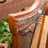 19-String Pixie Harp w/Shelby Levers