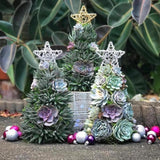 Handmade Surprise Christmas gift Succulent Christmas Tree