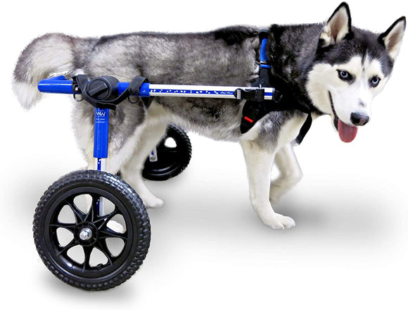 Walkin' Wheels Dog Wheelchair – for Med/Large Dogs 50-69 Pounds