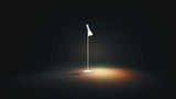 White & Color Ambiance Ascend Floor Lamp (Requires Hue Hub, Works with Amazon Alexa, Apple HomeKit and Google Assistant)