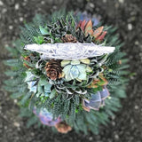 Handmade Surprise Christmas gift Succulent Christmas Tree