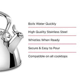 All-Clad E86199 Stainless Steel Tea Kettle, 2-Quart, Silver