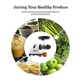 Omega J8006HDS Quiet Dual-Stage Slow Speed Masticating Juicer Makes Fruit and Vegetable 80 Revolutions per Minute High Juice Output, 200-Watt, Silver