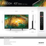Sony X800H 43-inch TV: 4K Ultra HD Smart LED TV with HDR and Alexa Compatibility – 2020 Model