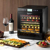 Magic Mill Food Dehydrator Machine – Digital Adjustable Timer  10 Stainless Steel trays