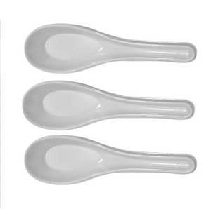 Plastic Chinese Spoon White Carton (2, 000 pieces)