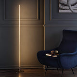 JYL7007A Iris 59.5" LED Integrated Floor Lamp, Modern, Contemporary For Bedroom, Living Room, Chrome