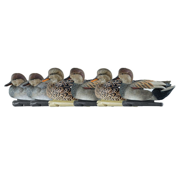 Avian-X Topflight Gadwall Decoys, 6-Pack