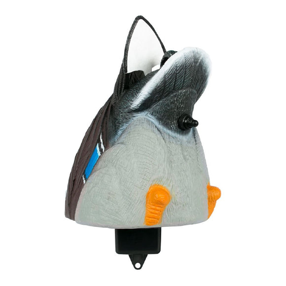Lucky Duck Lucky Flicker Tail HD