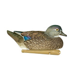 Avian-X Topflight Wood Duck Decoys 6-Pack