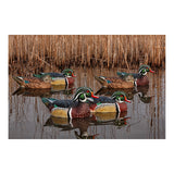 Avian-X Topflight Wood Duck Decoys 6-Pack