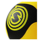 Spikeball Pro Ball