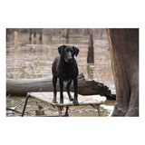 Scheels Outfitters Decoy Stretch Cords