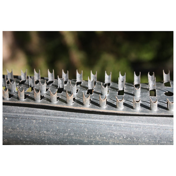 Boss Buck Shark Teeth 3 Strip (3 per Set) – BB-1.36