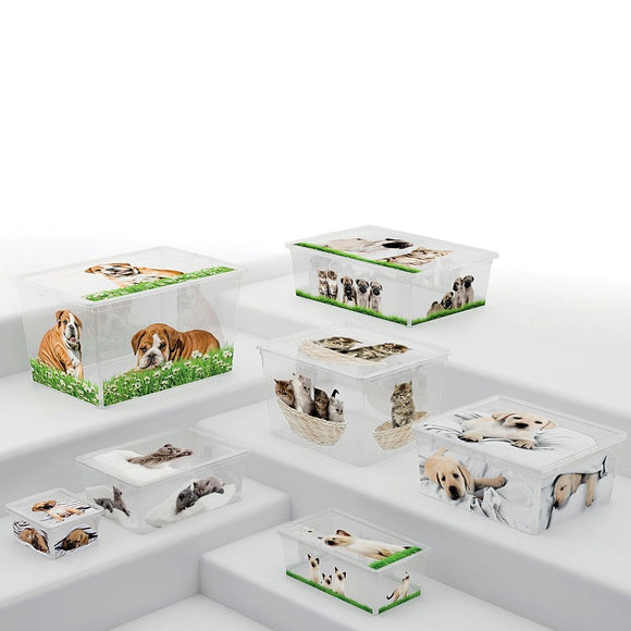C Box Style Puppy & Kitten XXS to XL