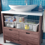 C Box L w/ Lid Transparent