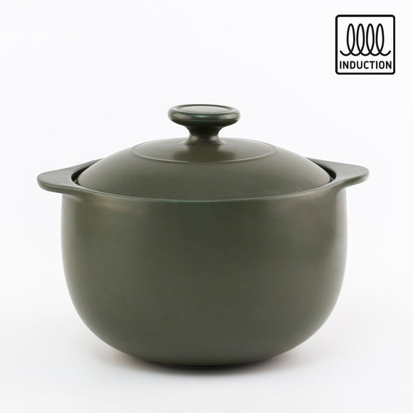 Vesta Induction Stock Pot + Lid 3L