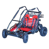 Coleman KT196 Go Kart