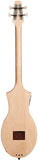 M4 Merlin Mahogany EQ Acoustic-Electric Dulcimer with Seagull Gig Bag and Extra Set of Strings (042517)