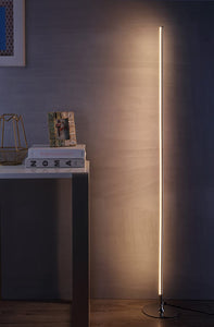 JYL7007A Iris 59.5" LED Integrated Floor Lamp, Modern, Contemporary For Bedroom, Living Room, Chrome