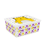 C Box Style Hipster XXS to XL