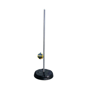 Lifetime Products 90071 Portable Tetherball System Silver Pole