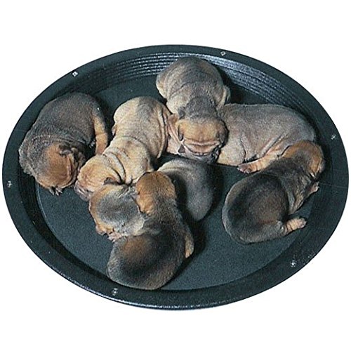Lovett’s Electronics HEATED WHELPING NEST