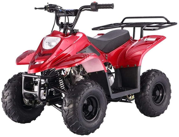 TAO 110cc ATV Fully Automatic Four Wheelers ATV Quads for Kids Burgundy