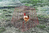 Metal Pyramid Chicken Coop Chicken Cage Pens Crate Rabbit Cage Enclosure Pet Playpen Breeding Exercise Drop Pen Red 5-Pack