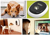 USA Made Premium 2-Way Audio & Video Pet Treat Camera, HD 1080p, Motion/Sound Detection Smart Video Recording, Streams DOGTV, Calming Aromatherapy, Designed for Dogs and Cats