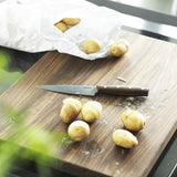 Fiskars Norr Pairing Knife 12cm