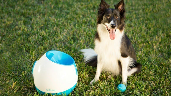 Ifetch Too Ball Launcher Dog Toy