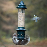 Squirrel Buster Plus Squirrel-proof Bird Feeder w/Cardinal Ring and 6 Feeding Ports, 5.1-pound Seed Capacity, Adjustable, Pole-mountable (POLE ADAPTOR SOLD SEPARATELY), Green