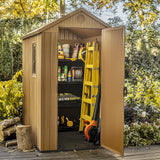 Darwin 4 x 6 Shed
