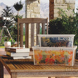 C Box Style Nature XXS to XL