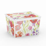 C Box Style Nature XXS to XL