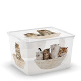 C Box Style Puppy & Kitten XXS to XL