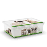 C Box Style Puppy & Kitten XXS to XL